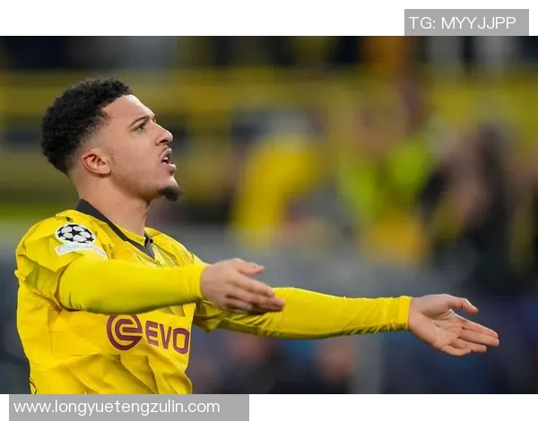 欧冠足球球星号召力等级分析：谁是最具影响力的顶级球员